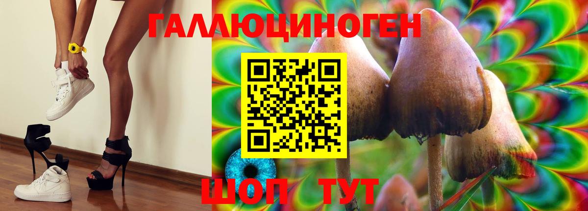 Псилоцибиновые грибы Cubensis  Вход с VPN  Псилоцибиновые грибы MAGIC MUSHROOMS  Норильск 